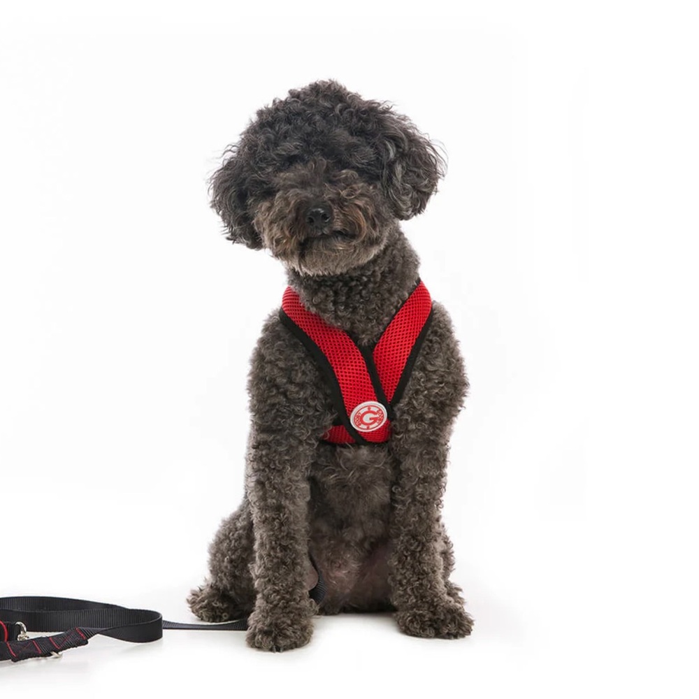 GOOBY ‘X Comfort Harness’ in Red
